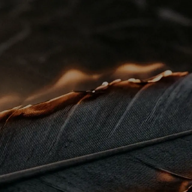 PHENIX FIRE — Phoenix Mode