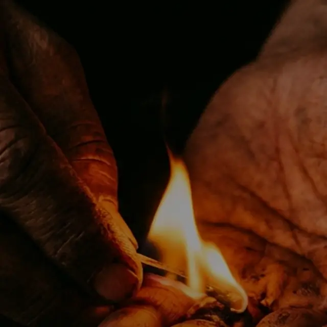 PHENIX FIRE — Trag die Flamme
