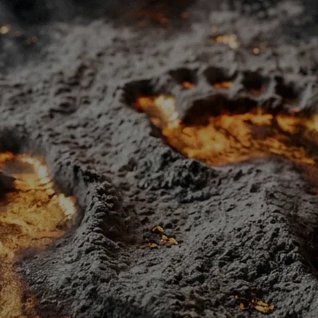 PHENIX FIRE — Immer wieder